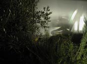 thumbnail of C&atilde;notaphe pour un objet cass&atilde;