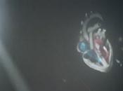 thumbnail of Chorus